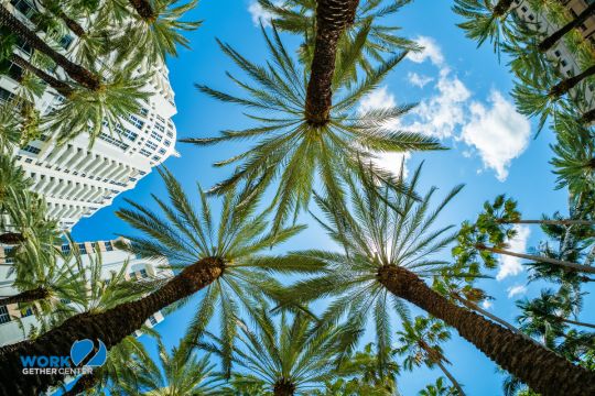 Private Office Miami – Small Teams